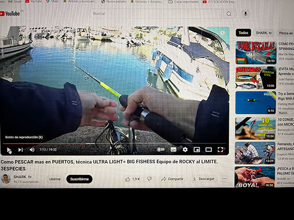 Ejemplo de consultas sobre pesca en la web