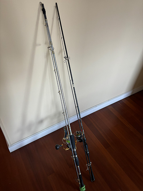 Cañas y carretes para la pesca con artificiales