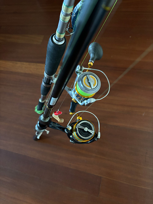 Cañas y carretes para la pesca con artificiales