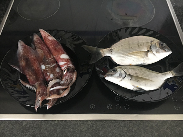 El resultado de una jornada de pesca a fondo y al calamar