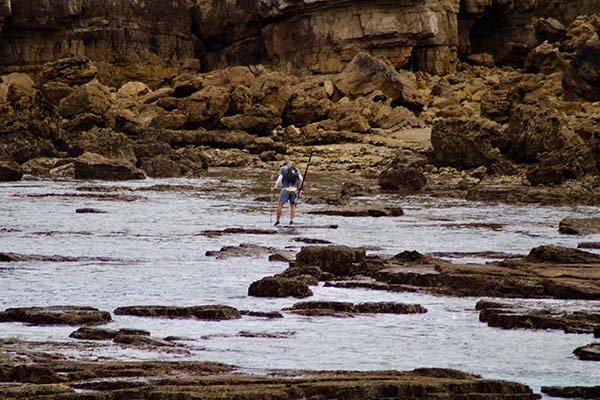 Pescador de pulpos en un pedrero de Gijón