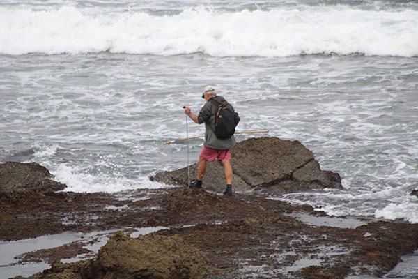 Pescando pulpos en el pedrero en Asturias