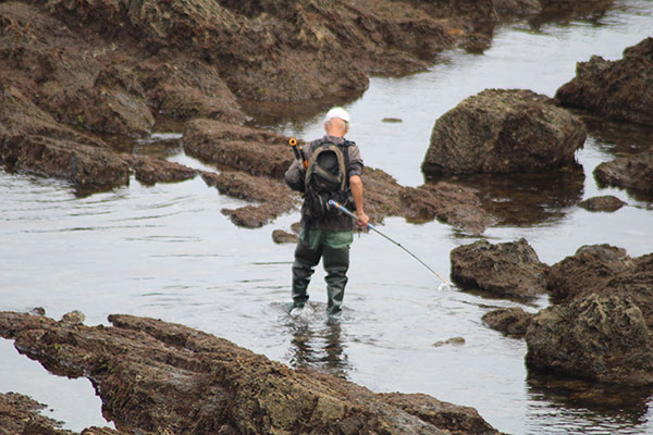 Pescando pulpos en el pedrero en Asturias