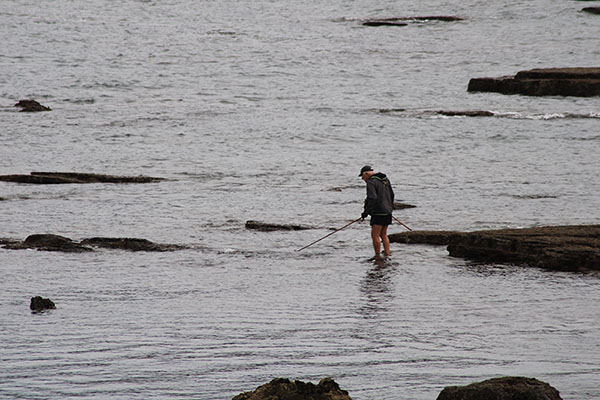 Pescando pulpos en el pedrero en Asturias