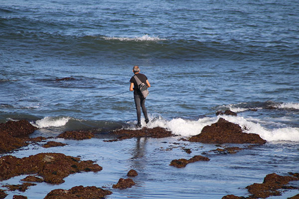 Pescador de costa aprovechando el mar revuelto que propicia buena pesca