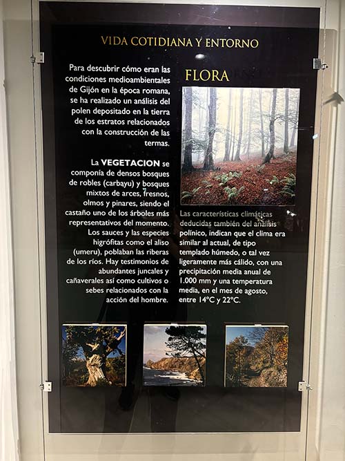 Panel explicativo sobre la flora de la época de las termas romanas de Gijón