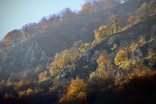 Los colores del otoño en los bosques de Asturias