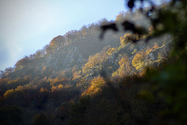 Los colores del otoño en los bosques de Asturias