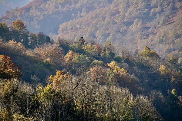 Los colores del otoño en los bosques de Asturias