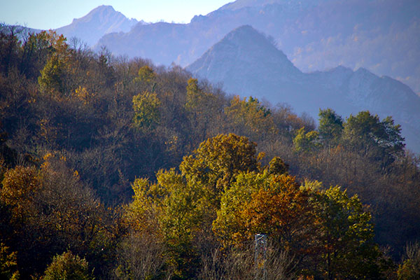 Los colores del otoño en los bosques de Asturias