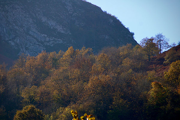 Los colores del otoño en los bosques de Asturias