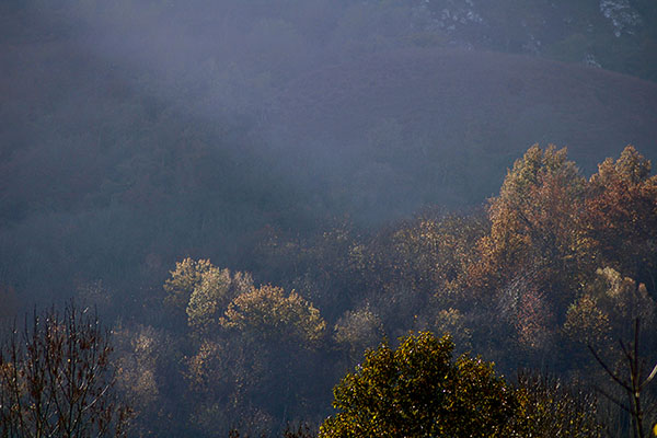 Los colores del otoño en los bosques de Asturias