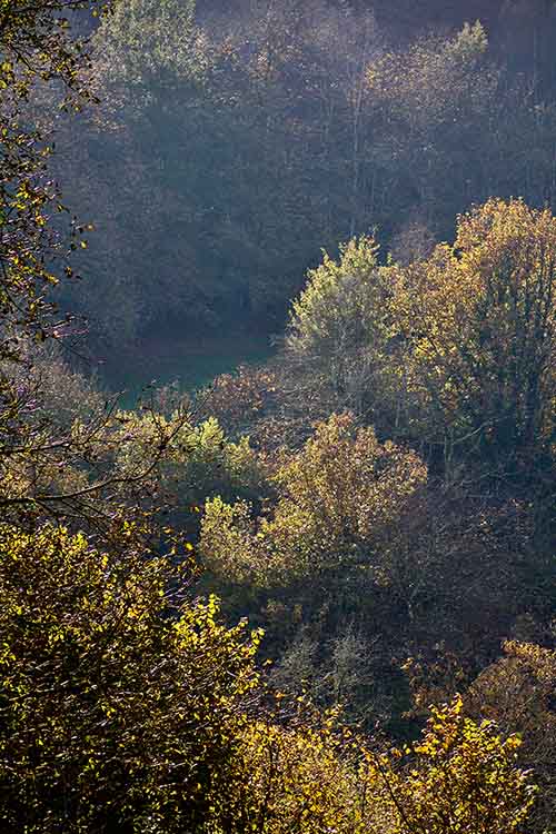 Los colores del otoño en los bosques de Asturias