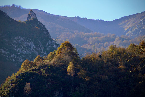Los colores del otoño en los bosques de Asturias