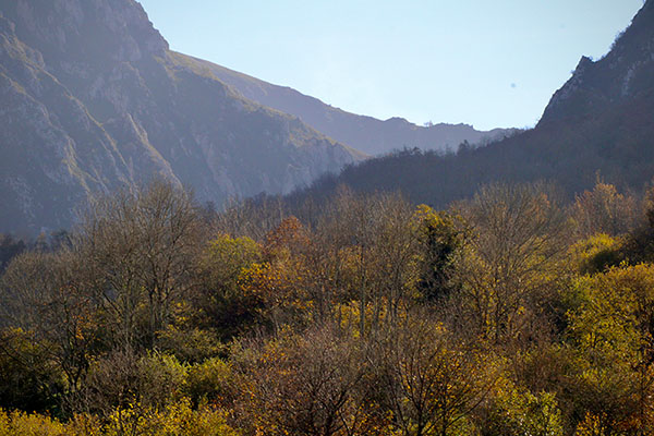 Los colores del otoño en los bosques de Asturias