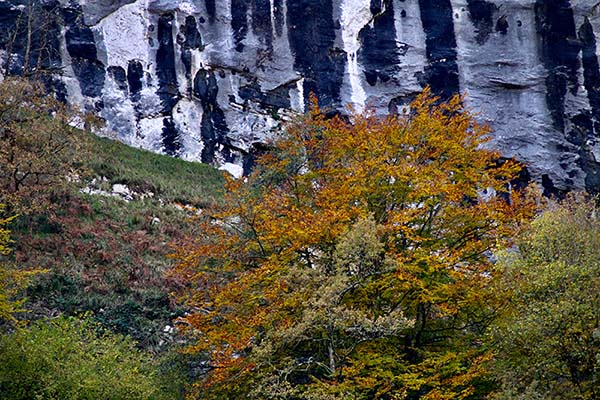 Los colores del otoño en los bosques de Asturias