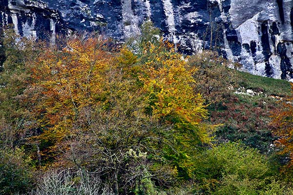 Los colores del otoño en los bosques de Asturias