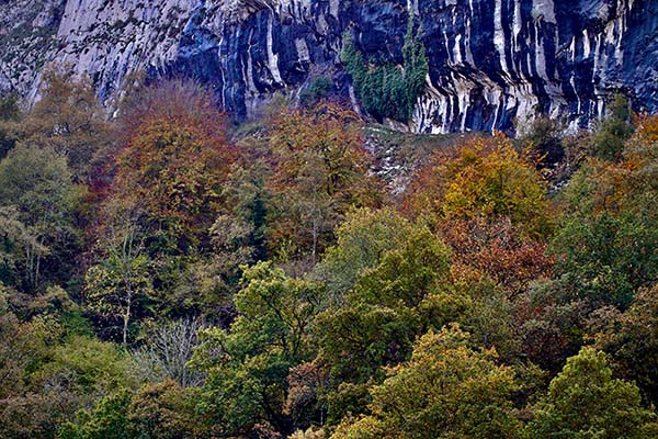 Los colores del otoño en los bosques de Asturias