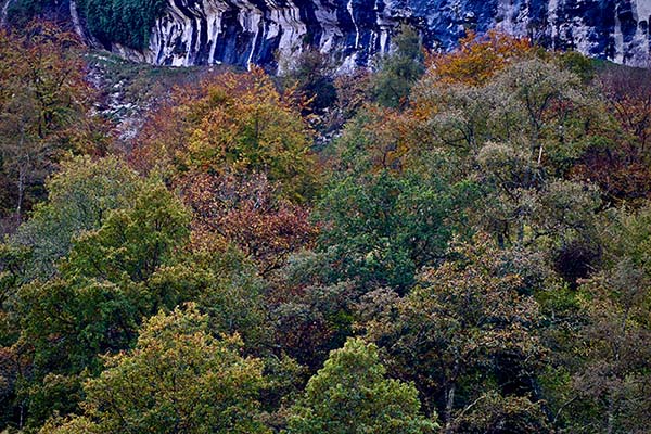 Los colores del otoño en los bosques de Asturias
