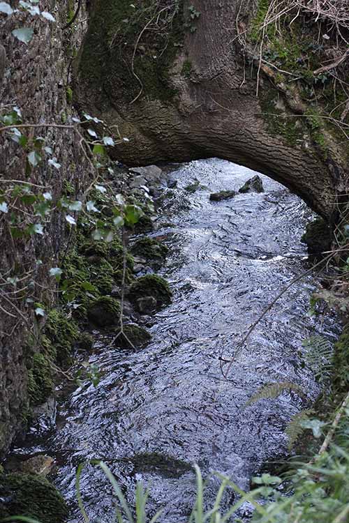 El rio Valdedios, pegado a los muros del conjunto monástico en Asturias
