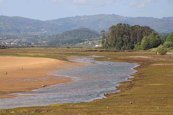 Vista de la ría de Villaviciosa en San Martín del Mar