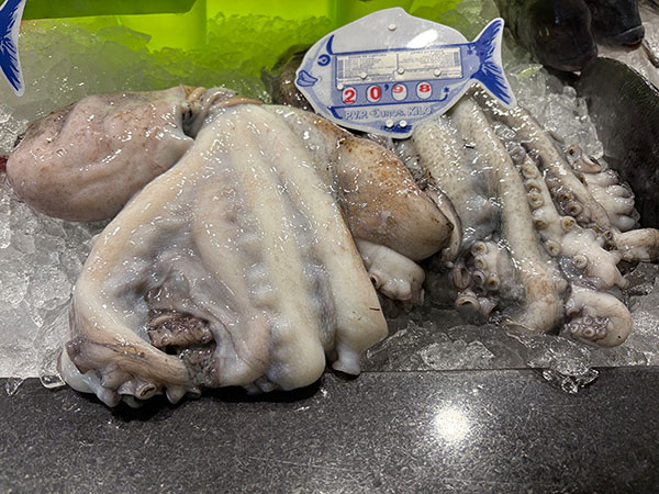 Pulpo de pedrero asturiano a la venta en una pescadería