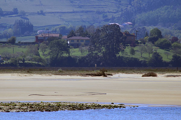 Playa de Misiego en la ría de Villaviciosa en Asturias