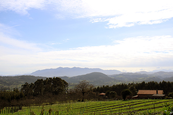 Cordillera del Sueve vista desde la Atalaya en Villaviciosa