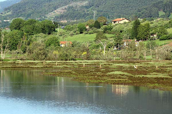 Vista de la ría de Villaviciosa en Asturias