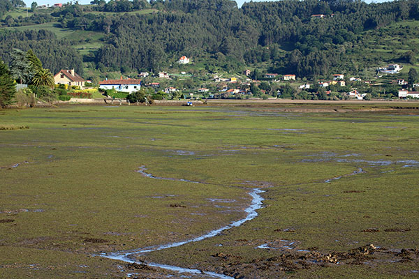 Ría de Villaviciosa en bajamar