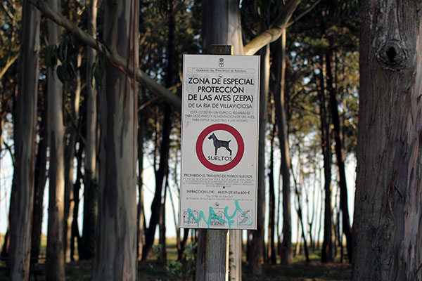 Señal de prohibición de perros sueltos en el entorno de la ría de Villaviciosa en Asturias