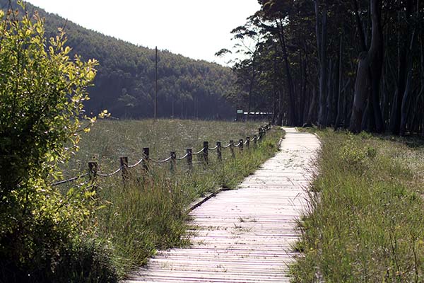 Camino de madera en el entorno de la ría de Villaviciosa en Asturias