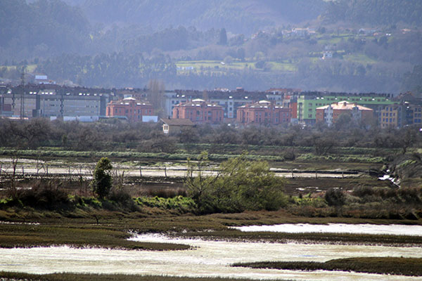 Villaviciosa vista desde la ría