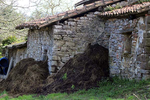 Explotación rural ganadera en Bedriñana en Villaviciosa en Asturias