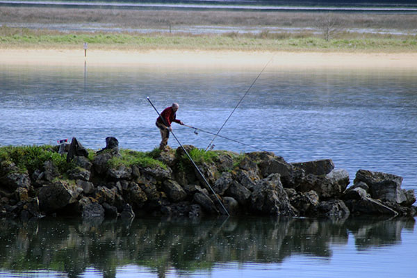 Pescador en la ría de Villaviciosa