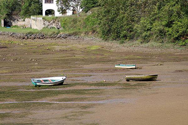 Lanchas varadas en la bajamar en la ría de Villaviciosa en Asturias