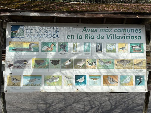 Centro de interpretación de la ría de Villaviciosa en Asturias