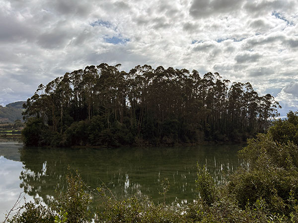 Isla del Monasterio en la ría de Villaviciosa en Asturias