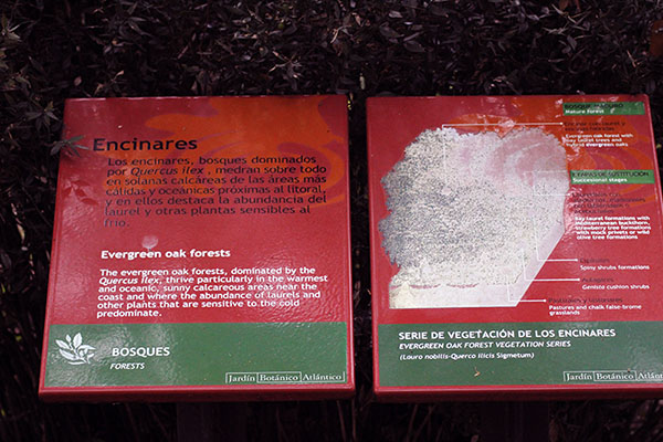Paneles explicativos en el jardín botánico de Gijón