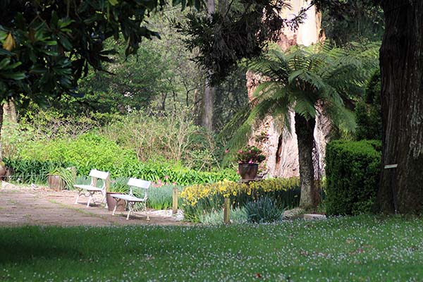 Imagen tomada en el interior del jardín botánico de Gijón