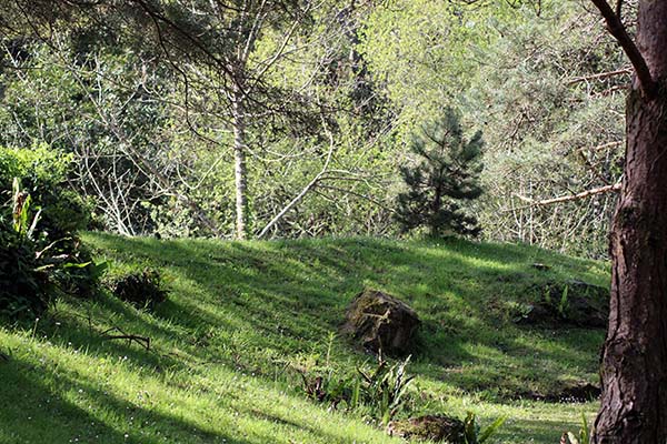 Bosques de bioma boreal europeo en el jardín botánico de Gijón
