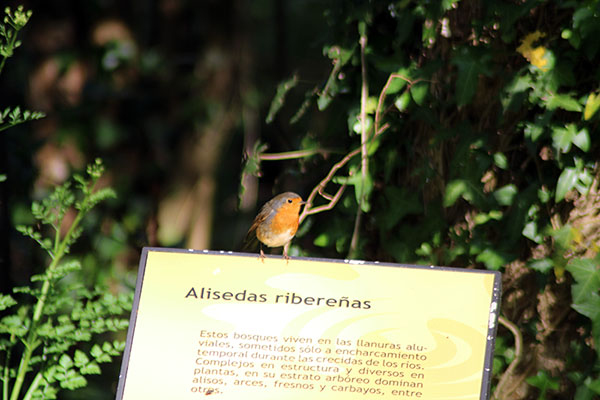 Bioma templado europeo en el jardín botánico de Gijón