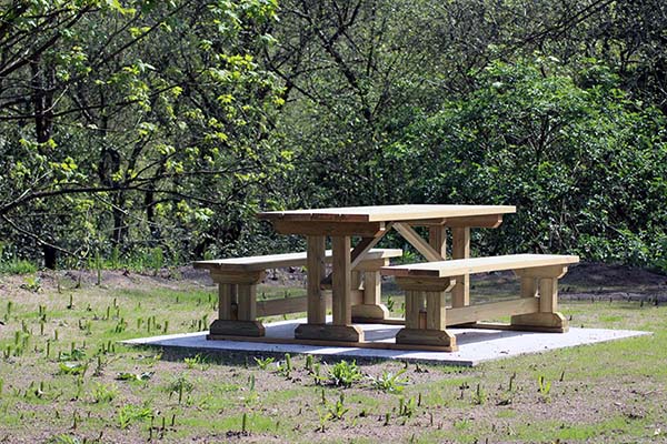 Mesas para picnic en el interior del jardín botánico de Gijón