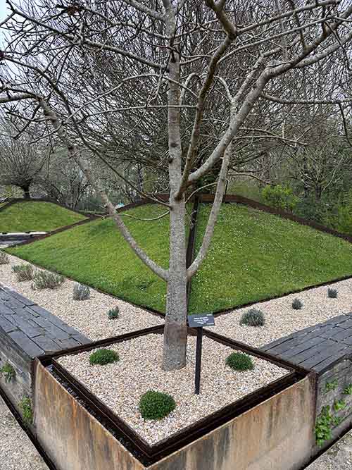 Jardines y plantaciones en la factoría vegetal del jardín botánico de Gijón
