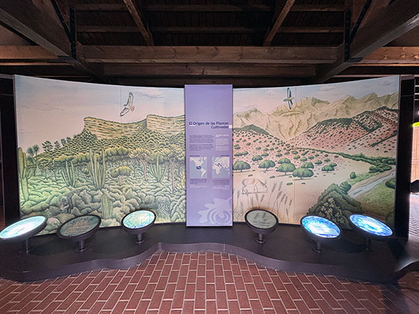 Quintana de Rionda en el jardín botánico de Gijón