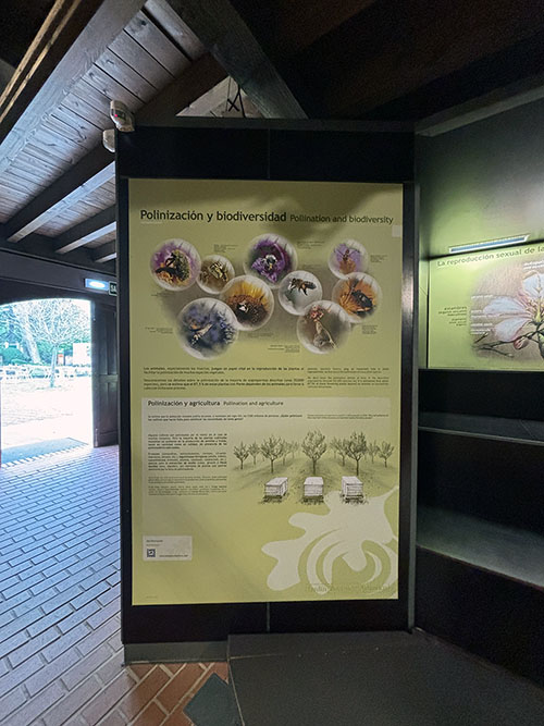 Quintana de Rionda en el jardín botánico de Gijón