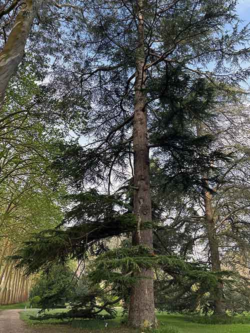 Entorno del Jardín de la Isla en el botánico de Gijón