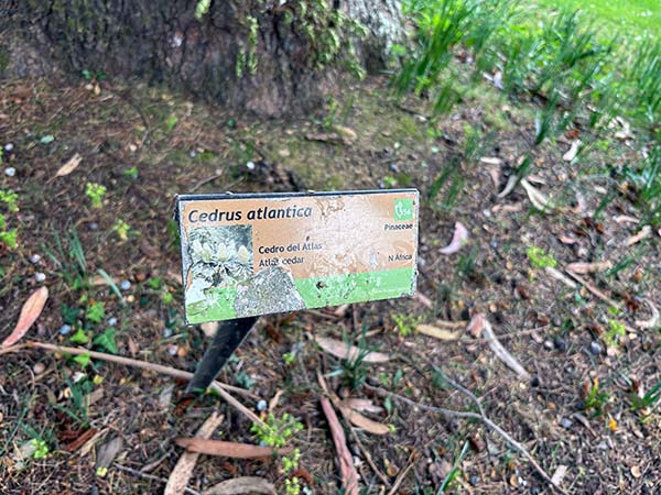 Cartelería informativa en el jardín botánico de Gijón