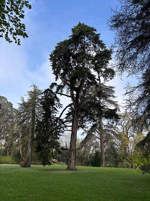Entorno del Jardín de la Isla en el botánico de Gijón