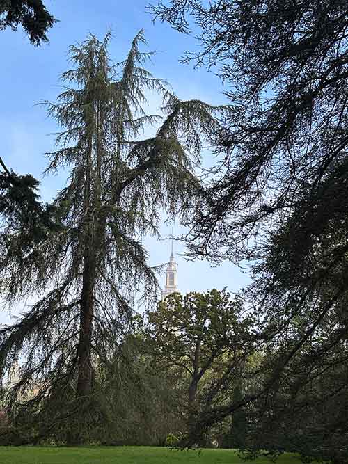 Entorno del Jardín de la Isla en el botánico de Gijón